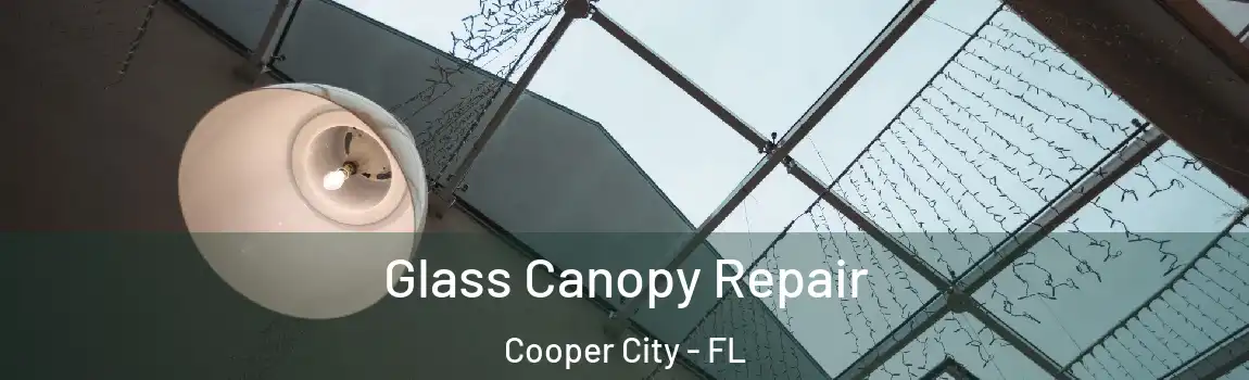 Glass Canopy Repair Cooper City - FL