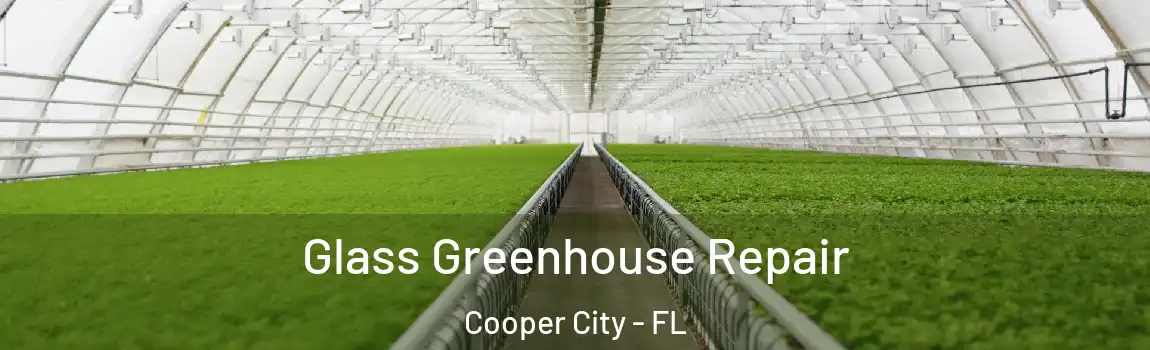 Glass Greenhouse Repair Cooper City - FL