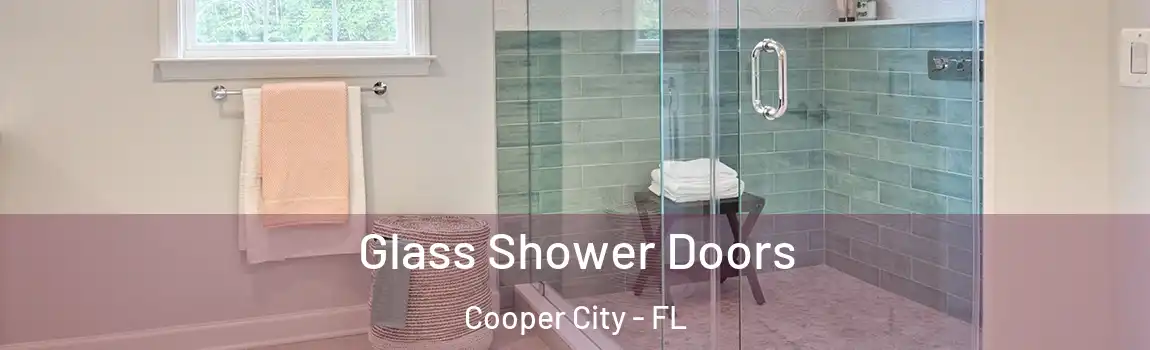 Glass Shower Doors Cooper City - FL
