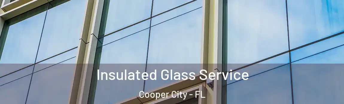 Insulated Glass Service Cooper City - FL