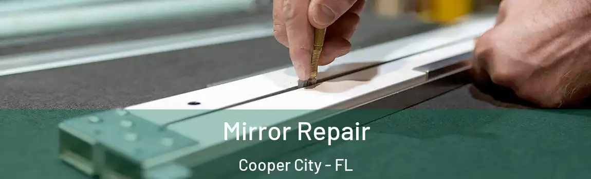 Mirror Repair Cooper City - FL