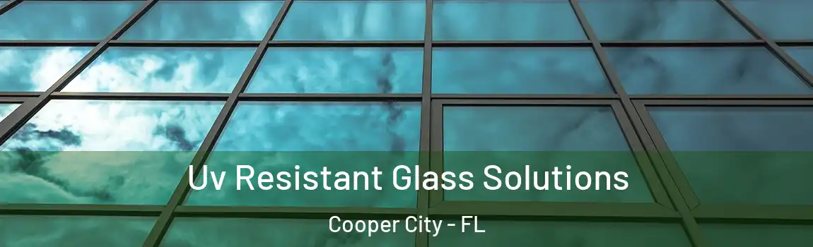 Uv Resistant Glass Solutions Cooper City - FL