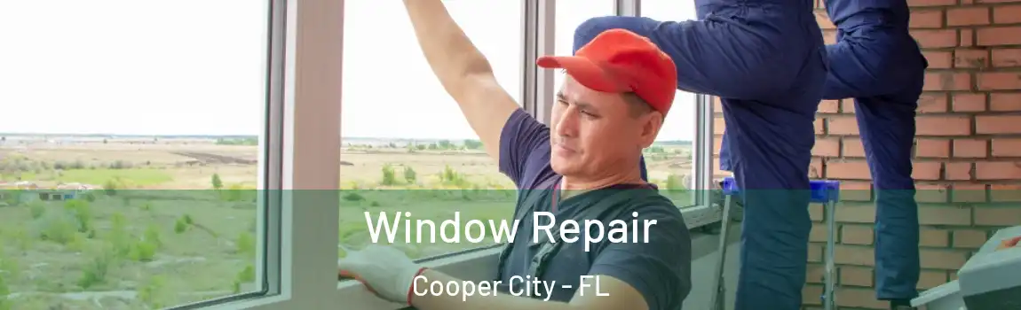 Window Repair Cooper City - FL